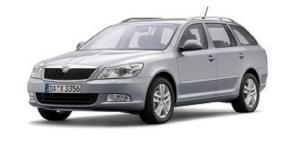 Эва-коврики на Skoda Octavia A5 2009-2012