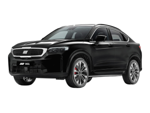 Эва-коврики на  Knewstar 001 2024