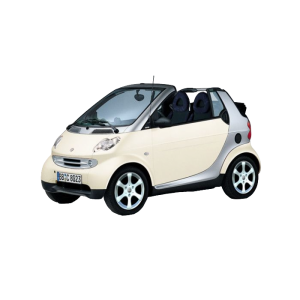 Эва-коврики на Smart Fortwo (450) 1998 - 2007